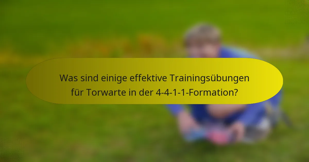 Was sind einige effektive Trainingsübungen für Torwarte in der 4-4-1-1-Formation?